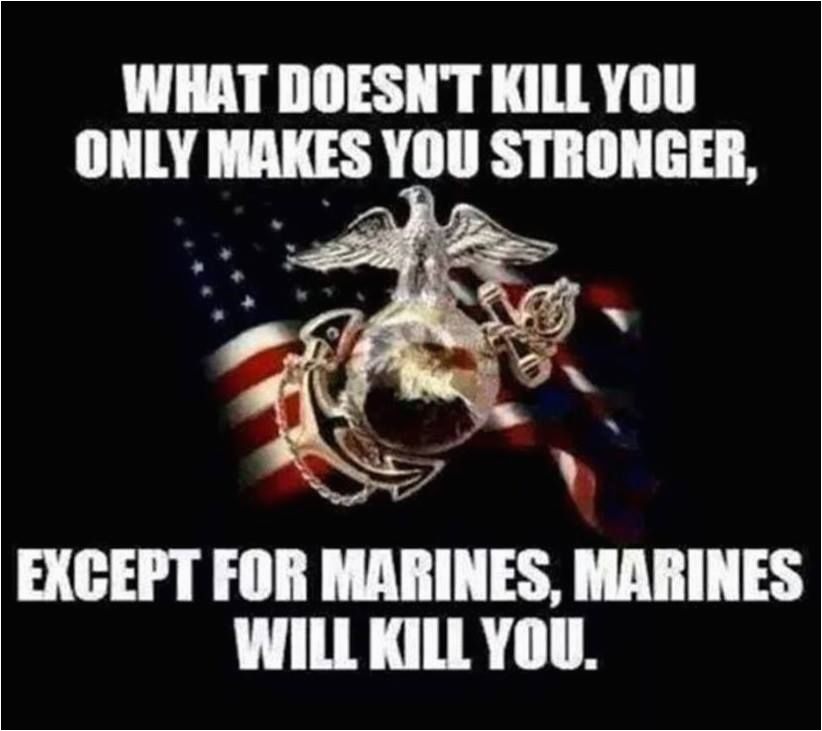 Funny Marine Corps Birthday Memes Semper Fidelis Marine Corps Humor