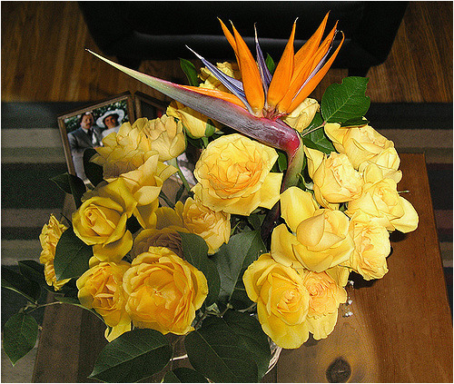 25th anniversary flowers flickr photo sharing