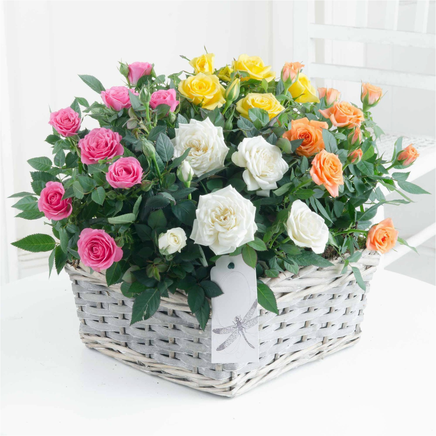50th Birthday Flowers Delivery Flowers and Plants Delivered | BirthdayBuzz