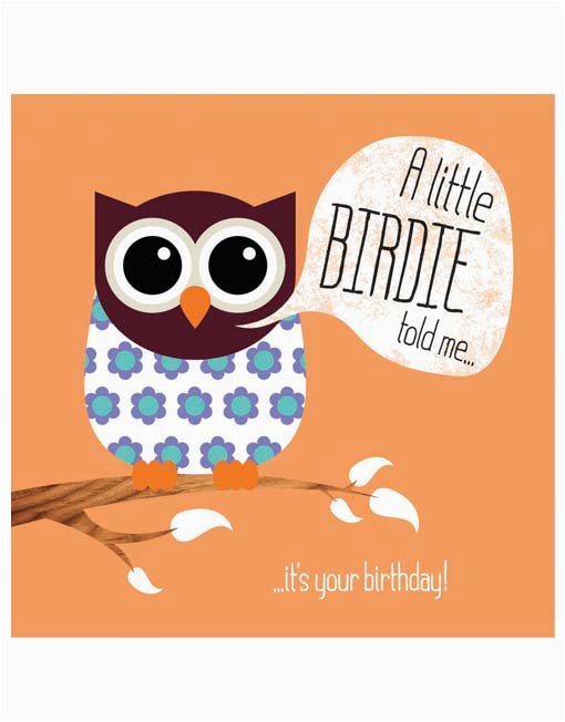 little owl birthday card card crush greetings