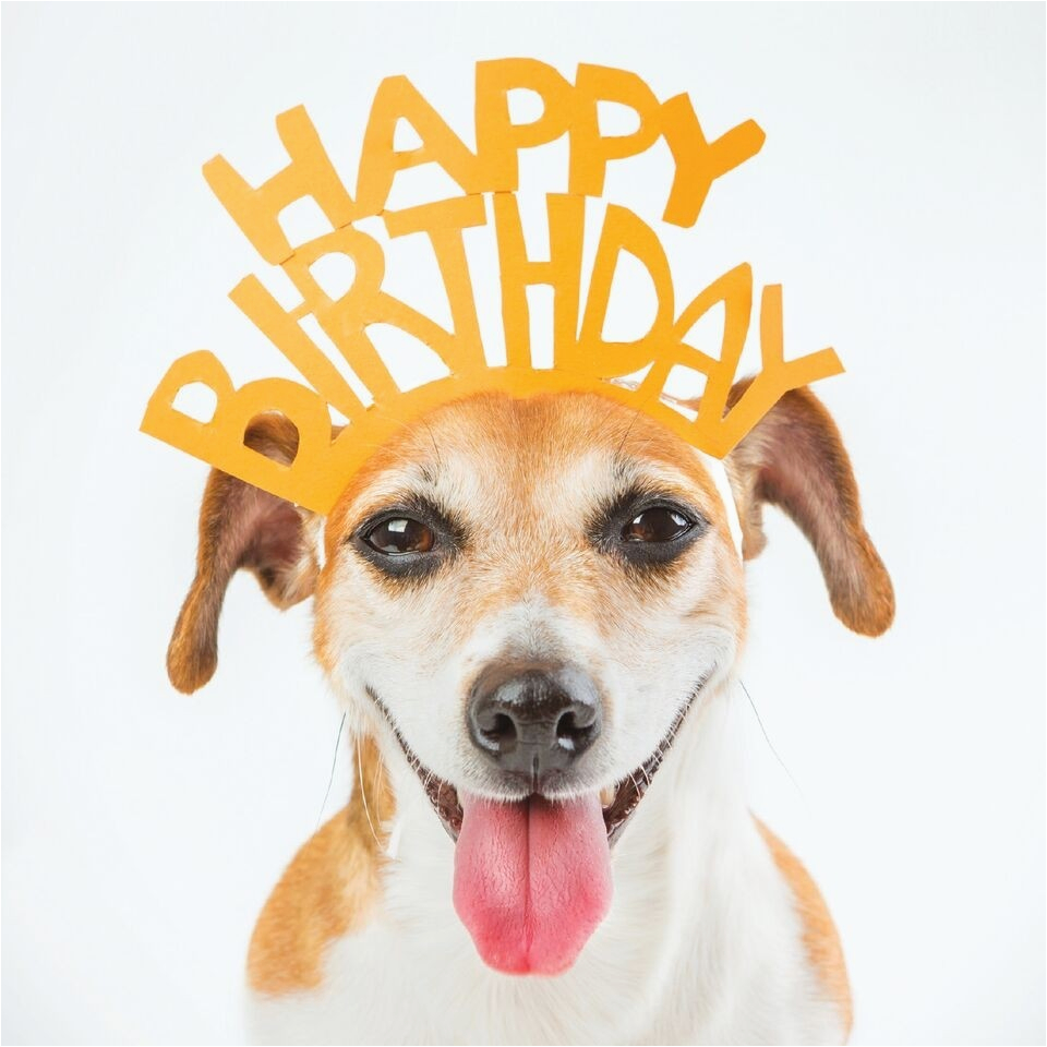 Birthday Card From Dog Printable Printable World Holiday