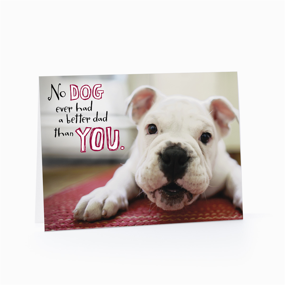 Birthday Card with Dogs Sleepy Birthday Dog Cards Hallmark Happy Card Pictures | BirthdayBuzz