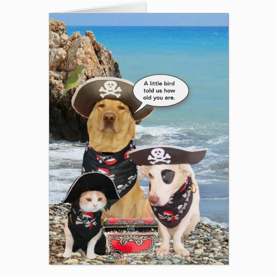 funny pirate pets birthday card 137273758726444947