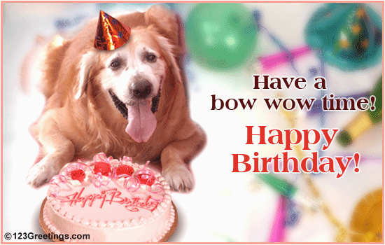 Birthday Cards for Pets Pet Birthday Free Pets Ecards Greeting Cards 123 Greetings