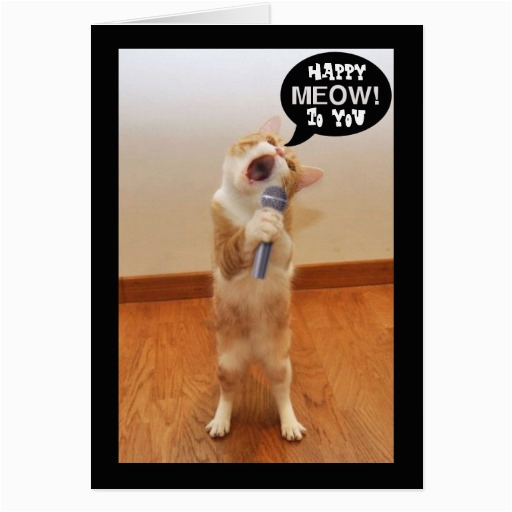 the singing cat birthday card zazzle