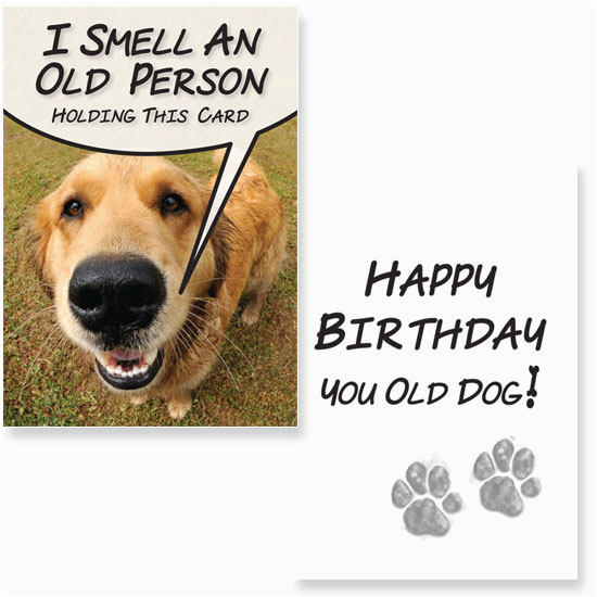 birthday cards for dogs greeting cards for dogs card