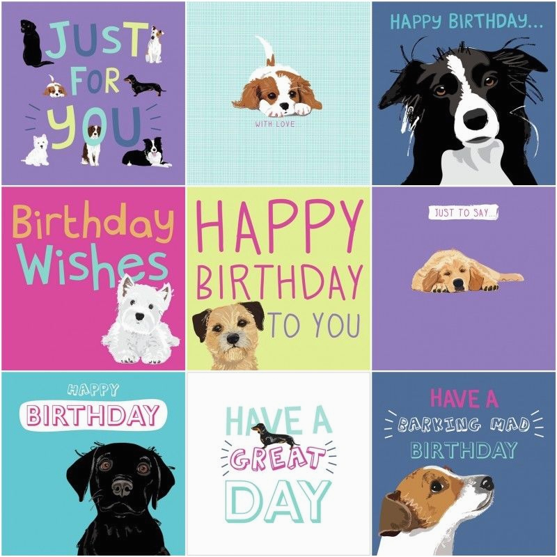 dogs trust charity greeting birthday card by waggy tails