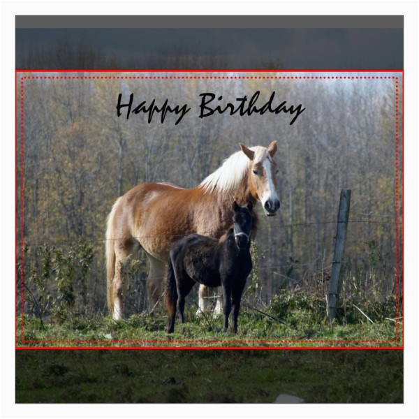 happy birthday horses greeting card