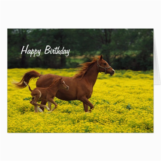 Birthday Cards with Horses On them Horse and Pony Happy Birthday Greeting Card Zazzle