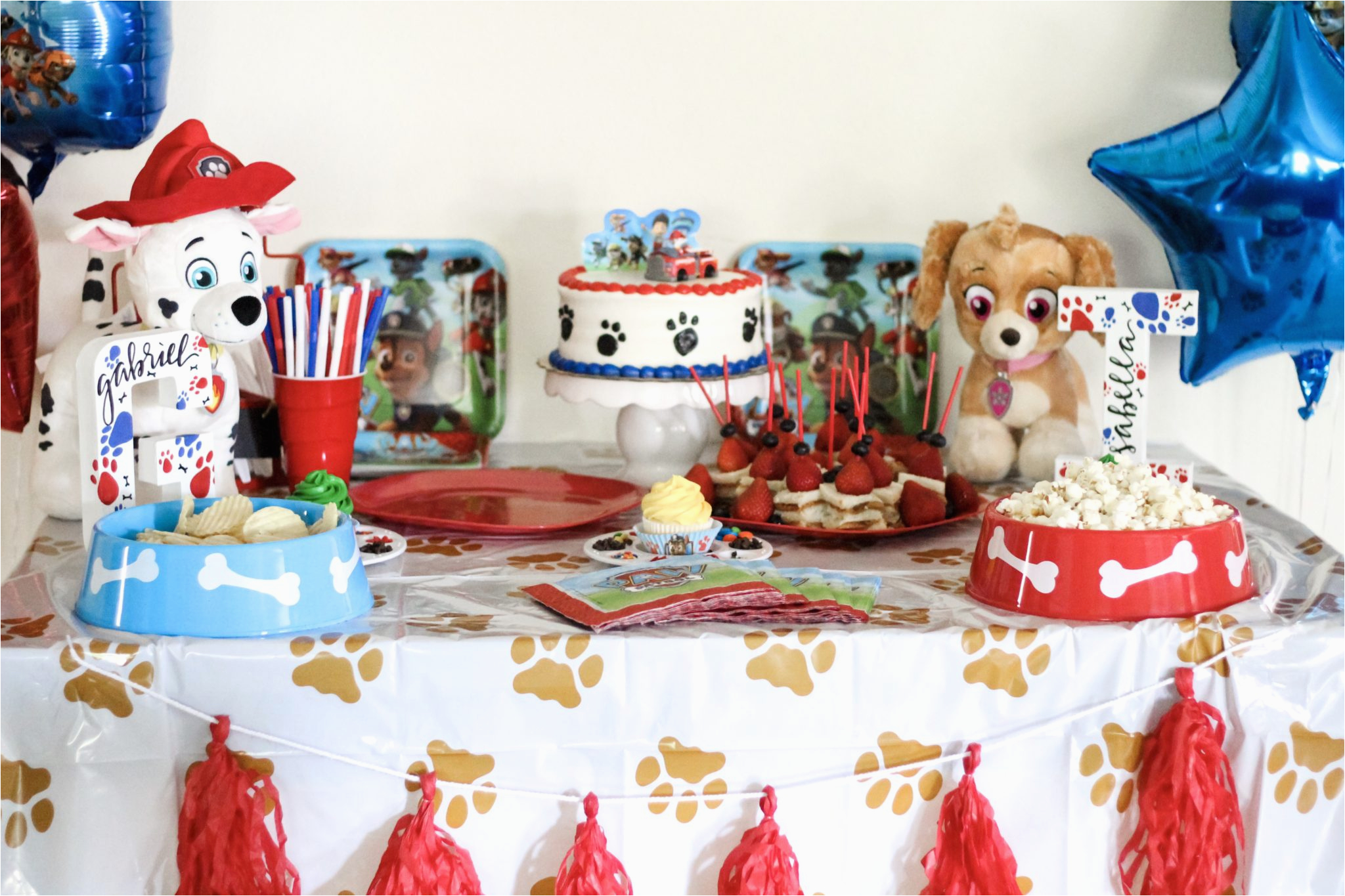 paw patrol birthday party