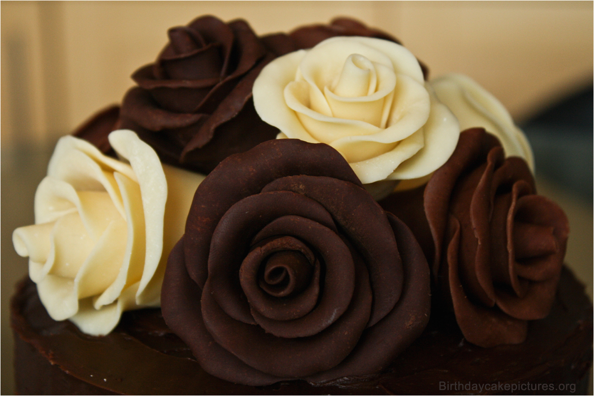 chocolate birthday cake with flowers pictures birthday