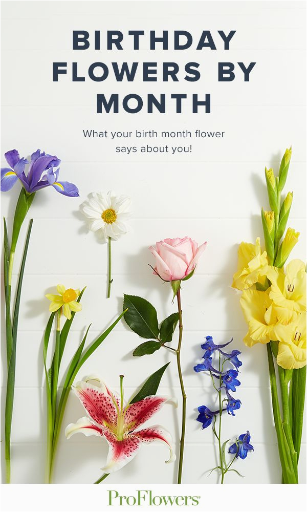 birthday flowers by month birth month births and flower