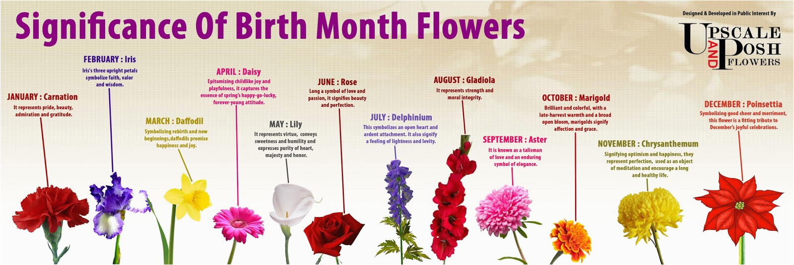 june babies we have the best birth flower birthstone