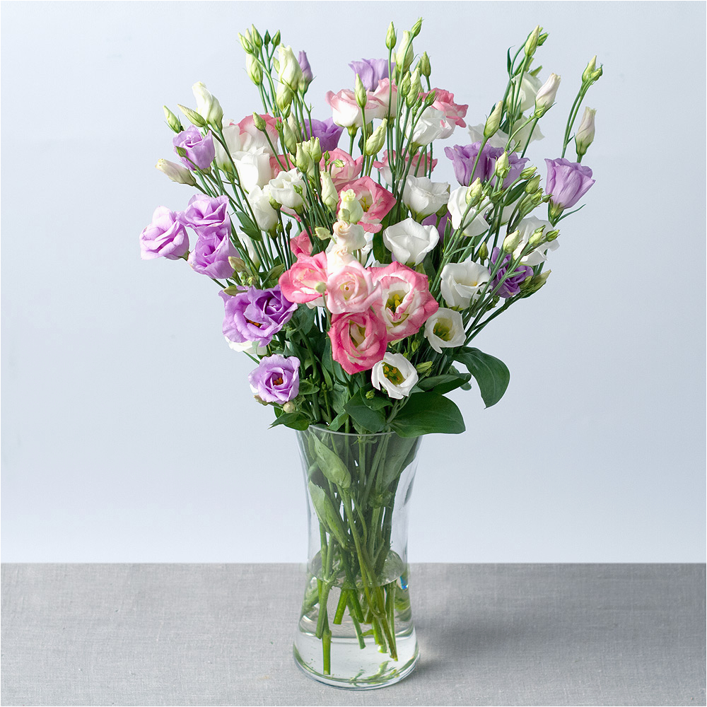 sweet lisianthus flowers by post bunches co uk