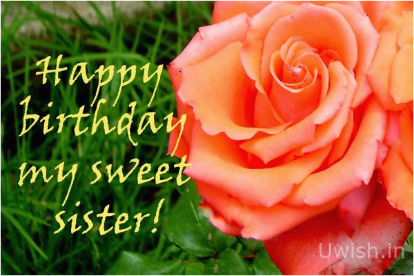 happy birthday my sweet sister with rose uwish wishes