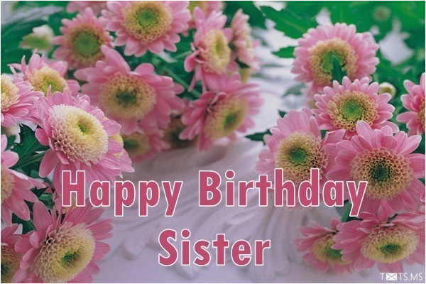 happy birthday wishes for sister quotes messages images