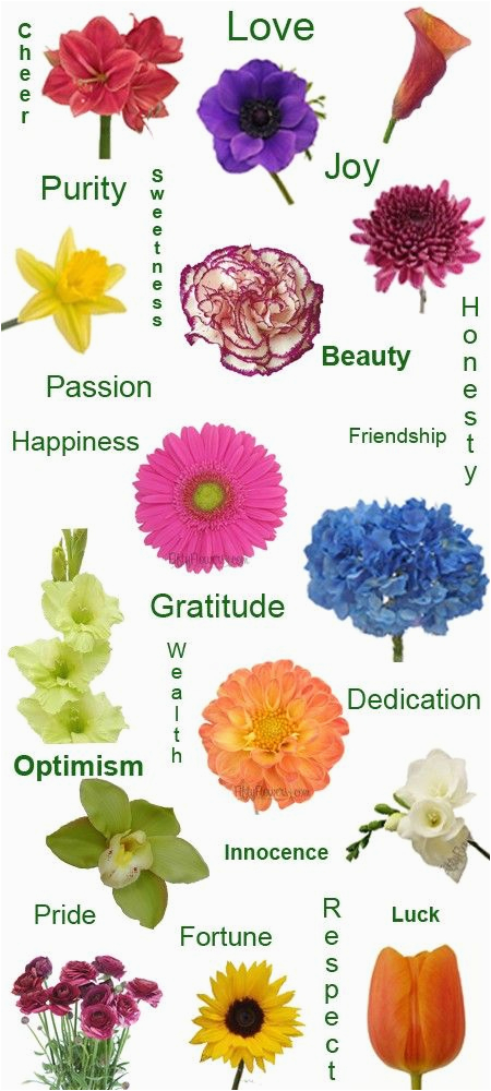 25 best ideas about flower meanings on pinterest zodiac