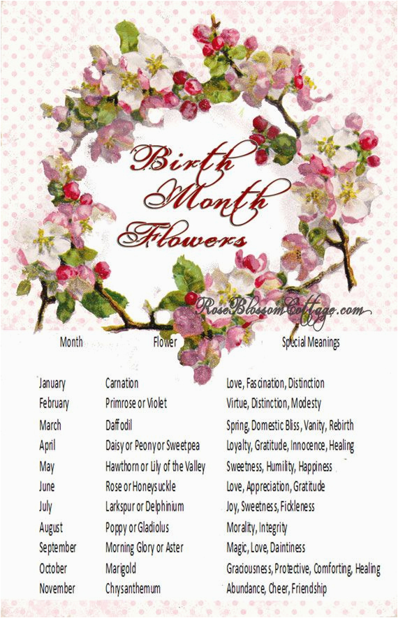 birth flowers and meanings sweet ideas pinterest
