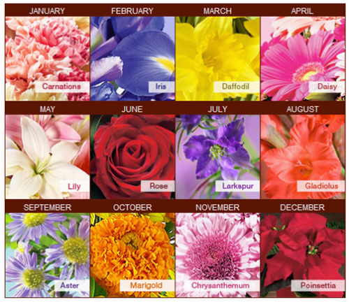 Birthday Flowers Meaning Merry Brides Your Birth Month Flower ...