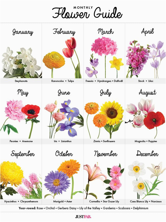 Birthday Flowers Meanings 25 Best Ideas About Month Flowers On