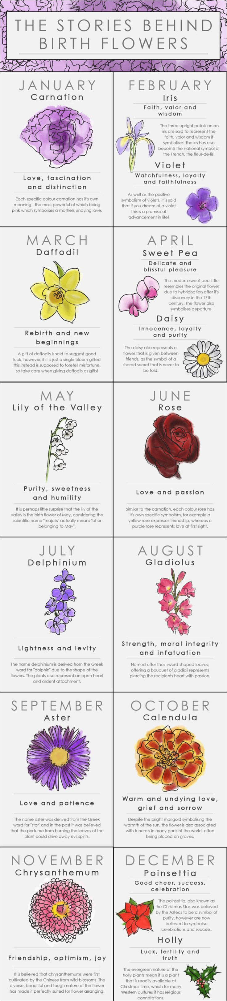 best 25 month flowers ideas on pinterest birth month