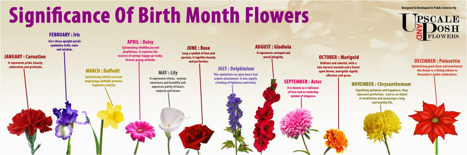 birth month flowers visual ly