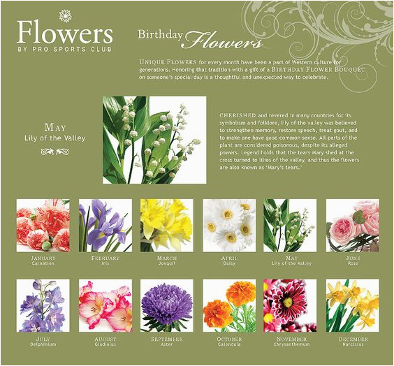 birthday flowers for each month garden botanica