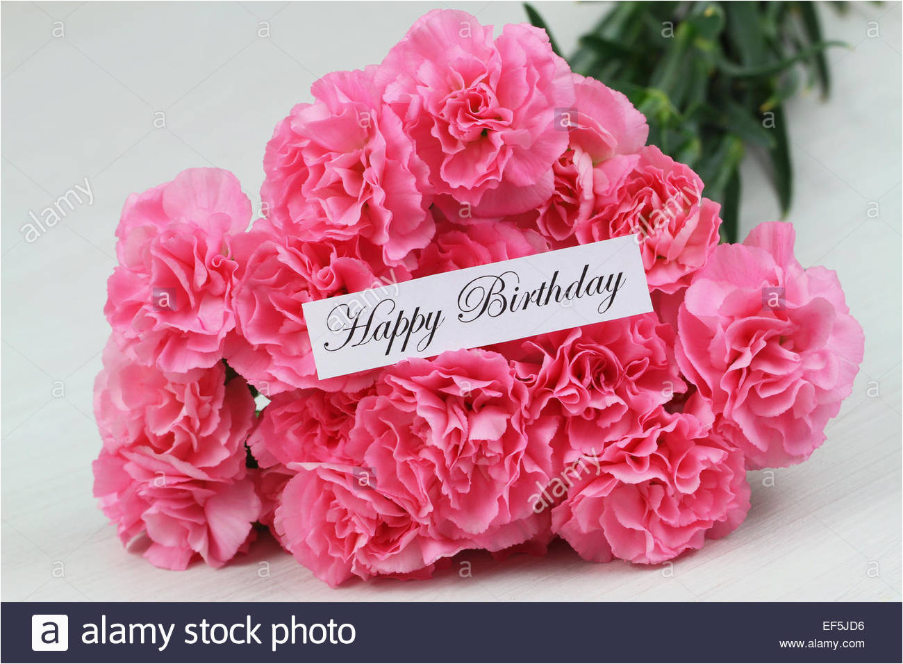 happy birthday card with pink carnation flowers stock