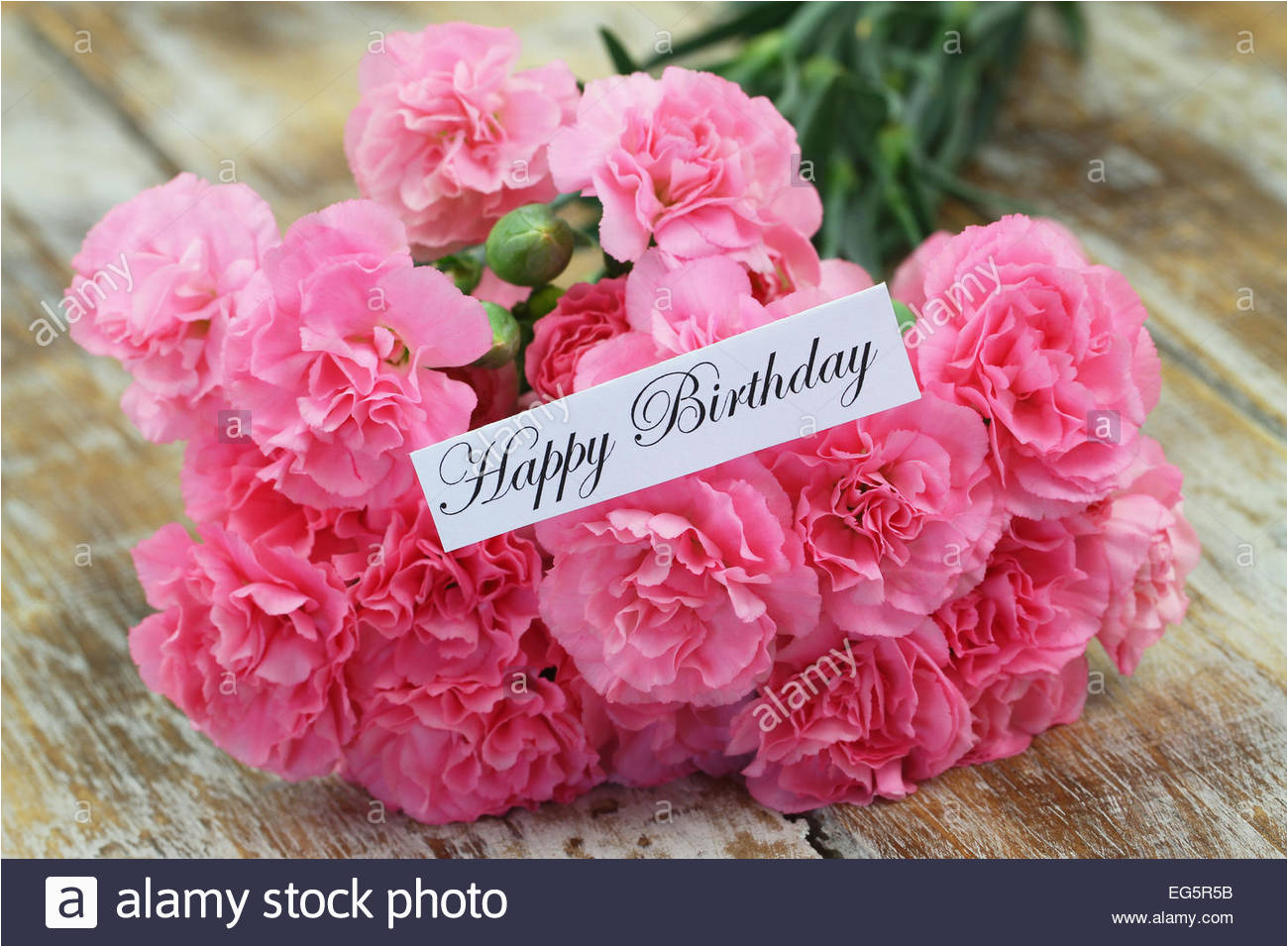 happy birthday card with pink carnation flowers stock