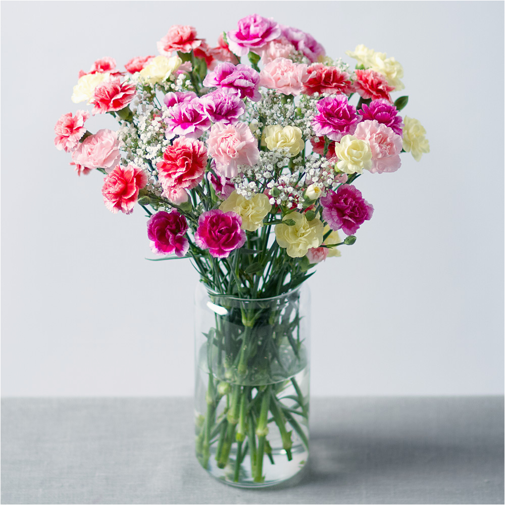 spray cascade spray carnations bouquet bunches co uk