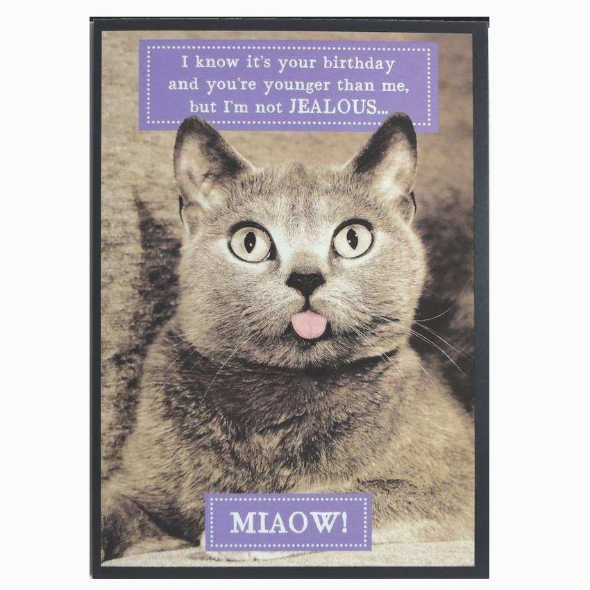 happy birthday wishes with cats