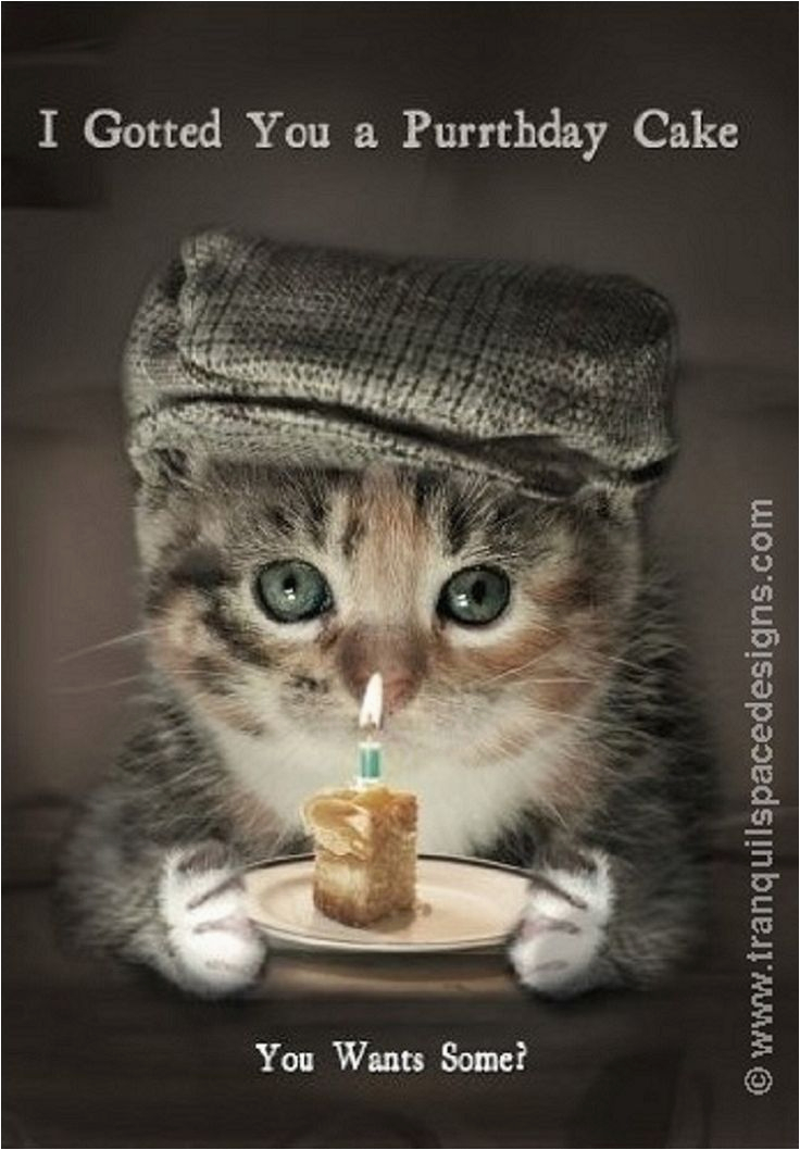 Cat Birthday E Card 88 Best Cat Birthday Cards Images On Pinterest