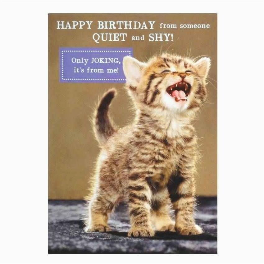 cat birthday greeting images