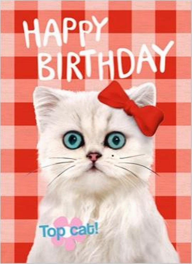 Cat Birthday E Card Cat Birthday Wishes Wishes Greetings Pictures Wish Guy