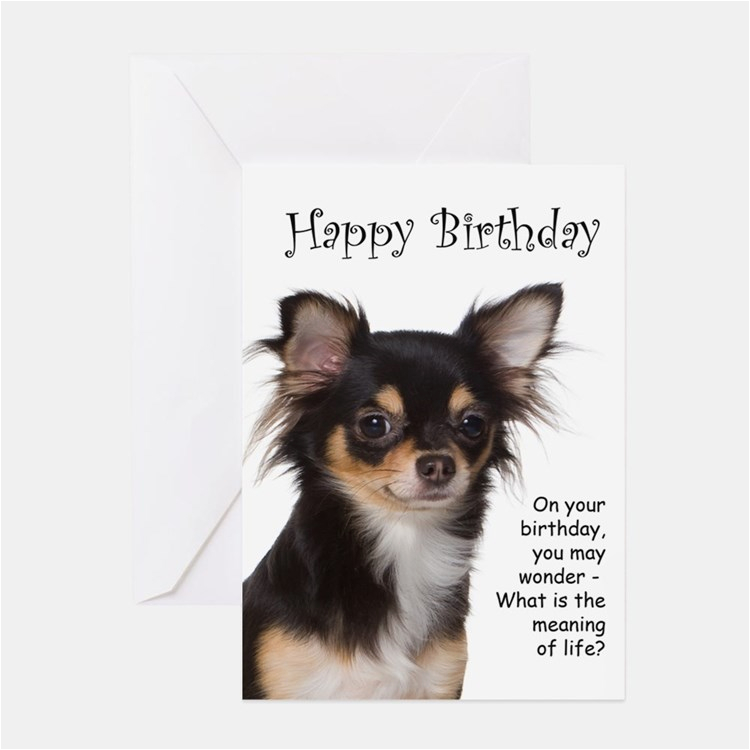 chihuahua greeting cards