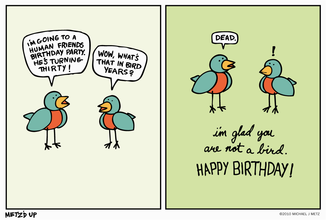 the gallery for gt funny birthday pictures tumblr