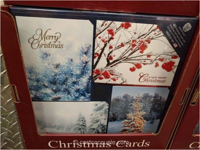 christmas cards costco homeminecraft