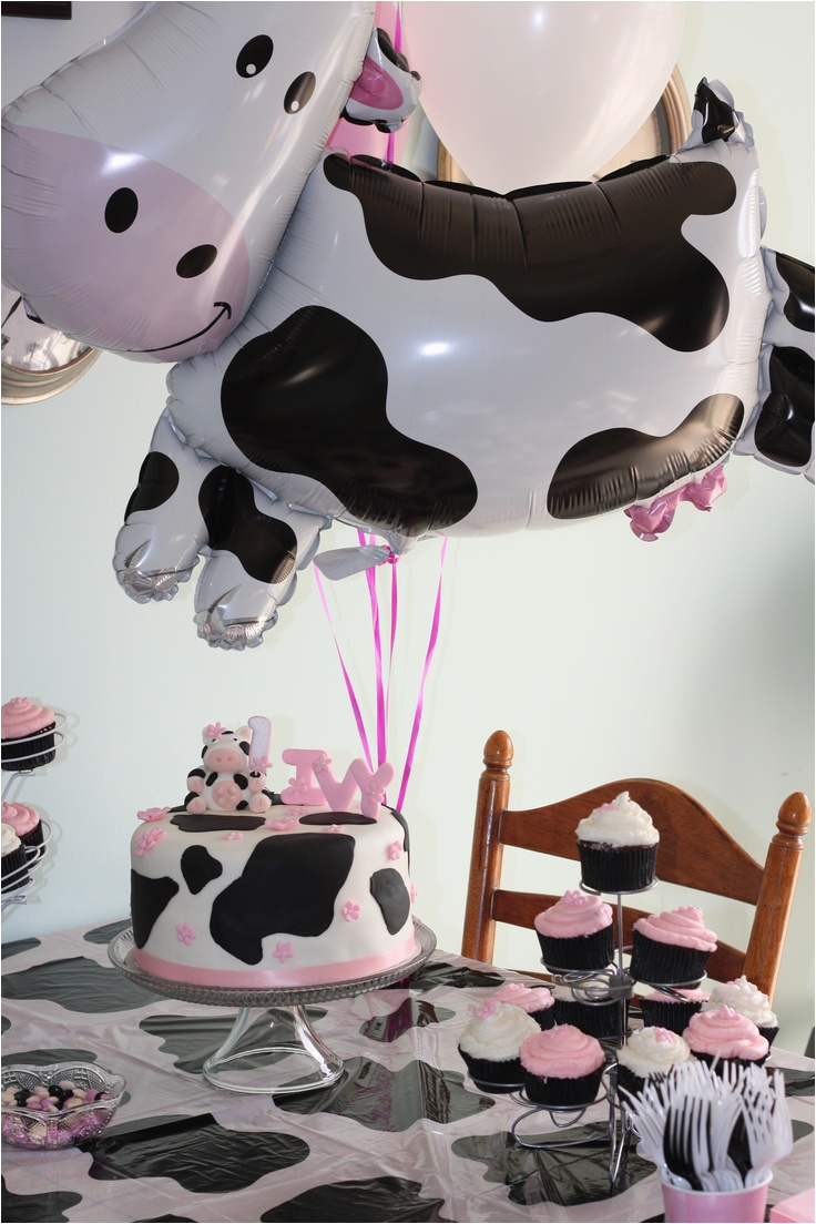 cow cakes
