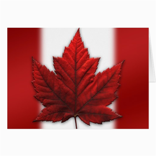 canada cards canada flag greeting cards custom zazzle