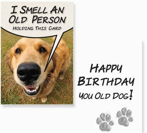 birthday wishes for a dog lover