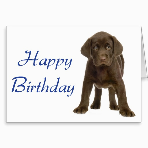 happy birthday quotes for dogs