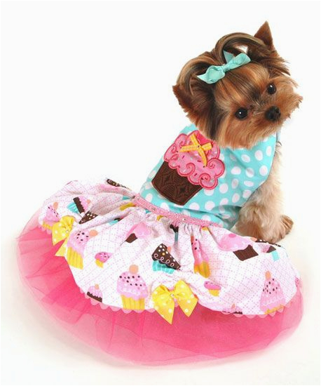 small dogs birthday dress