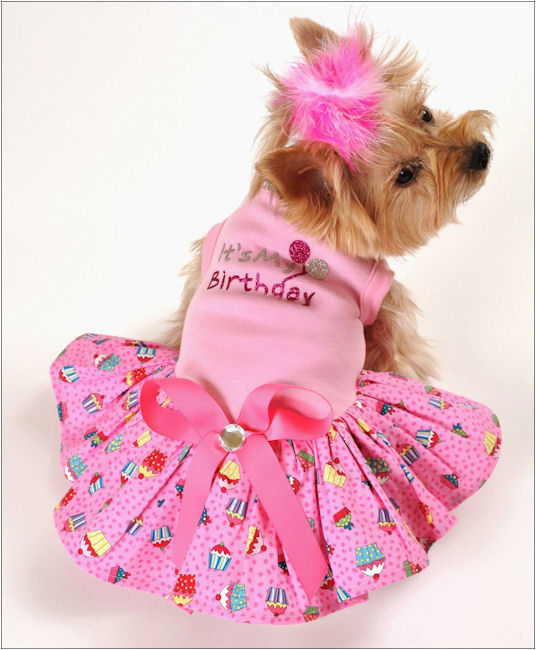 its my birthday dog dress