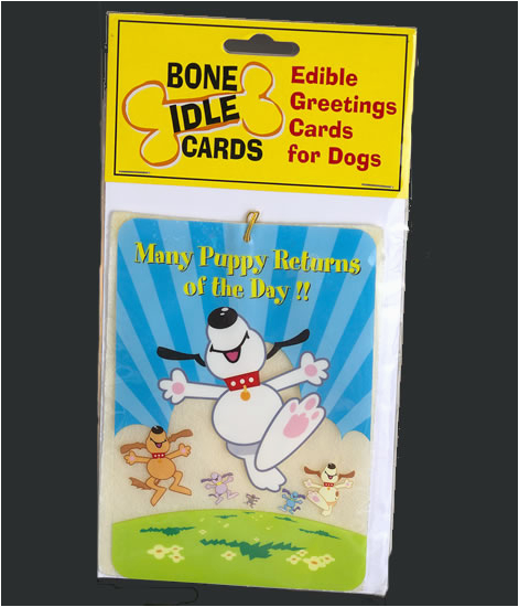 dog greetings card dog treat dog birthday card pet