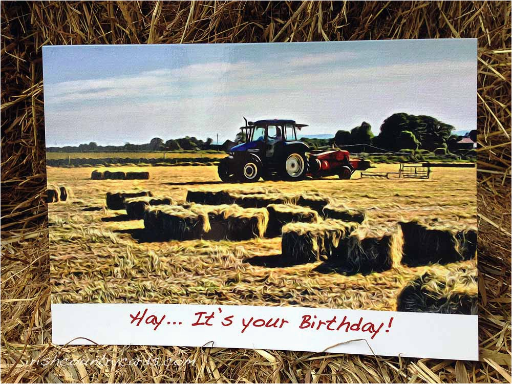 birthday hay