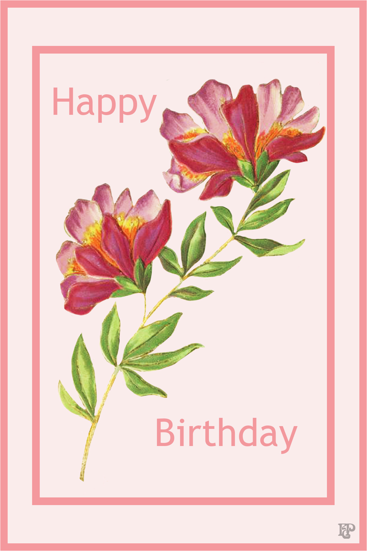 Flower Cards for Birthdays Flower Greeting Cards for Birthdays