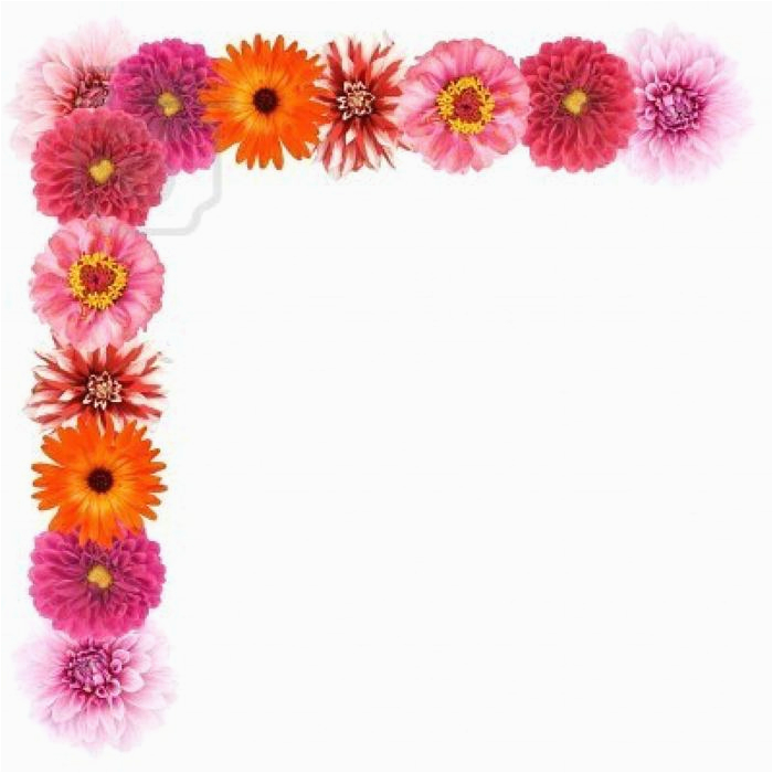 birthday flowers clip art cliparts co