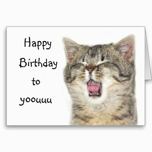 free-printable-cat-birthday-cards-birthdaybuzz