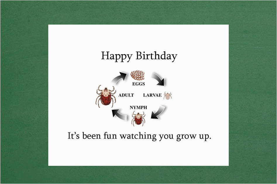 birthday card 17th birthday card 16th birthday card 15th