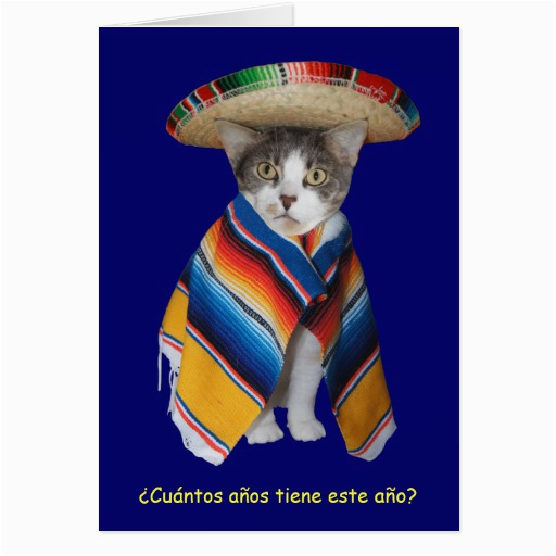 funny spanish cat kitty birthday greeting cards 137774341265336084
